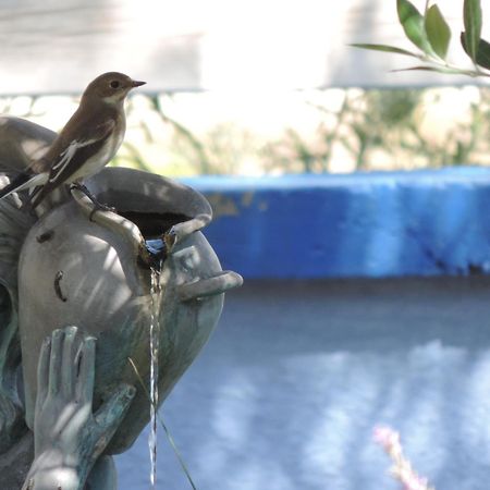 Bed and Breakfast Chez Papy Et Mamy Saint-Chef Номер фото