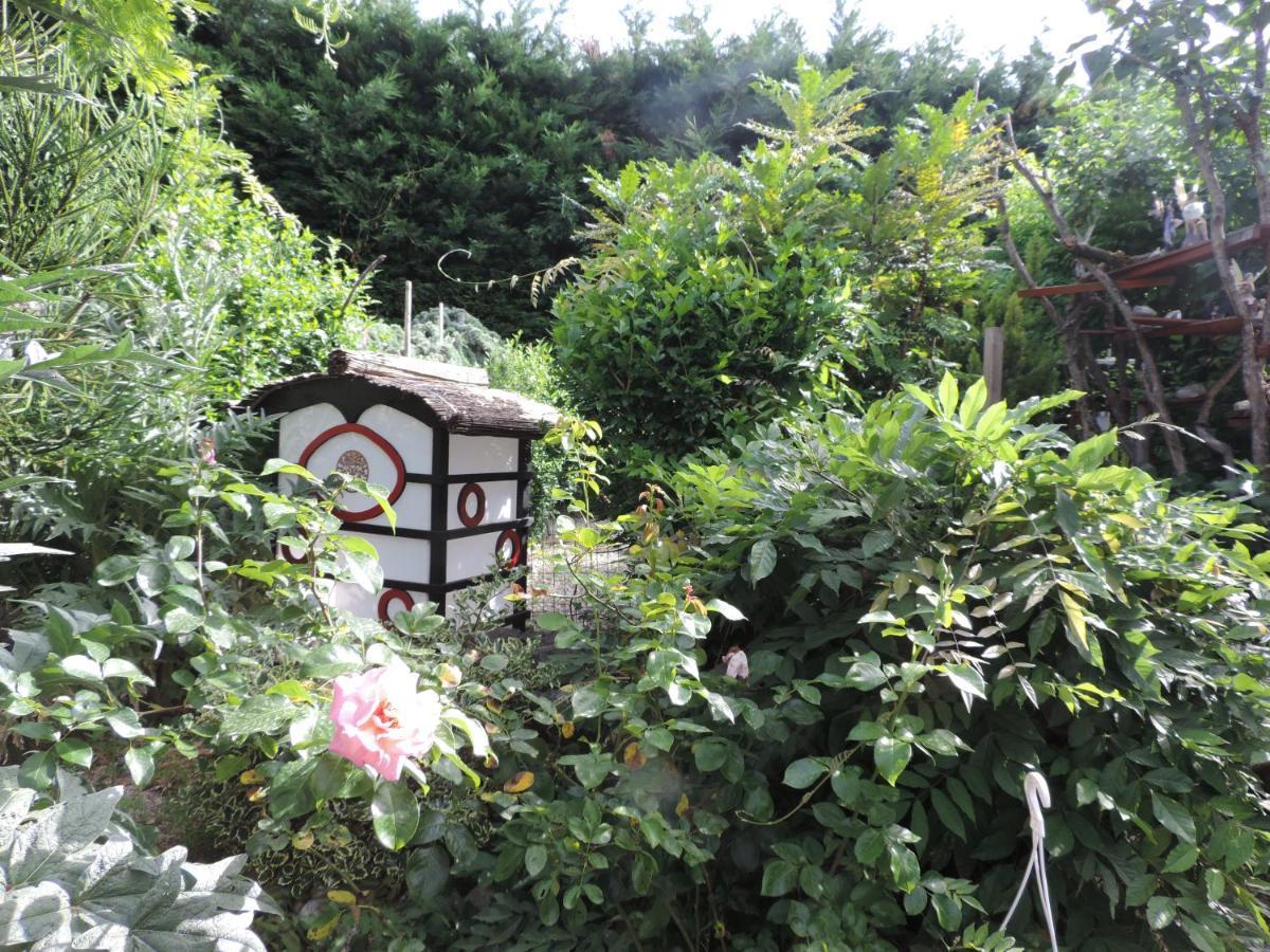 Bed and Breakfast Chez Papy Et Mamy Saint-Chef Экстерьер фото