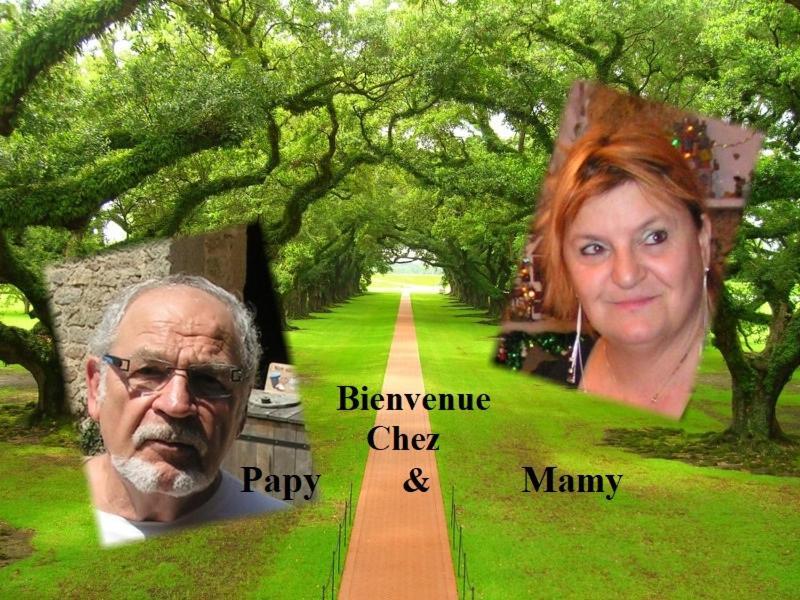 Bed and Breakfast Chez Papy Et Mamy Saint-Chef Экстерьер фото